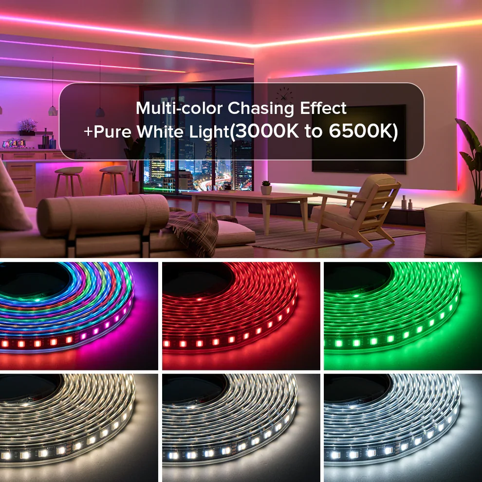 نشره BTF 24 فولت WS2805 RGBCCT طلقه + دبل لون 60 لد/م مطريه IP67 طول 5 متر - 4